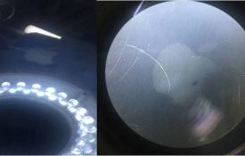 iPhone 6s Plus Won't Turn On Plus repair