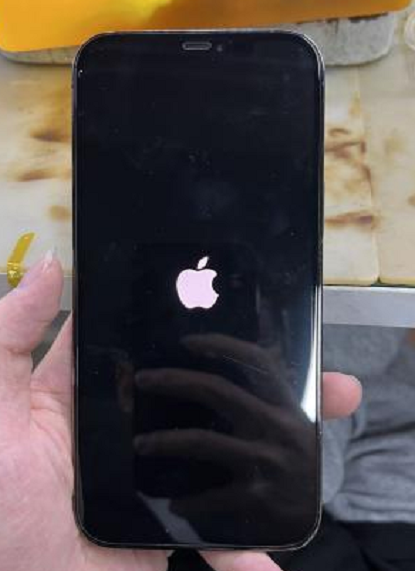 iPhone 12 Pro Max can't be turned on after entering the water